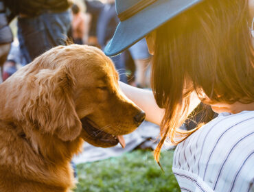 Pet’s Playing a Key Role when Recovering from Illness