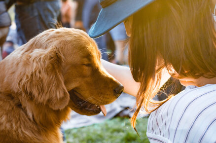 Pet’s Playing a Key Role when Recovering from Illness