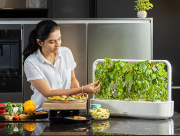 Now it is Easy to Grow your Greens at Home