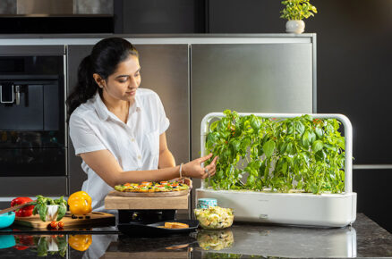 Now it is Easy to Grow your Greens at Home