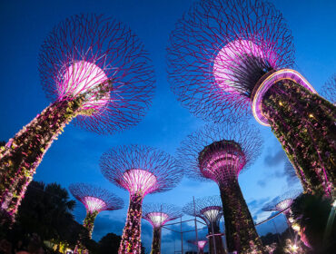 What to Look Forward to at the Wellness Festival Singapore 2023