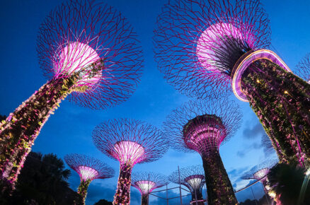 What to Look Forward to at the Wellness Festival Singapore 2023