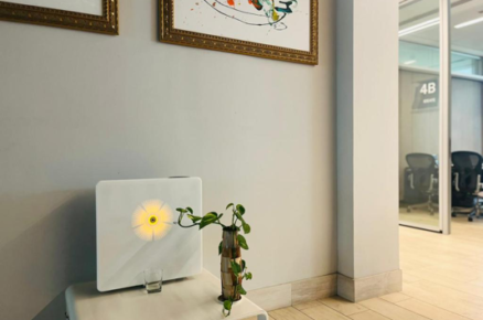 Maeka Water Curators Bring Back the Regenerative and Healing Virtues of Water