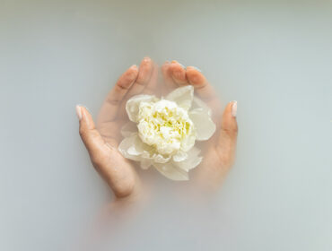 Explore an Oasis of Healing with the Top Medical Wellness Retreats in  India