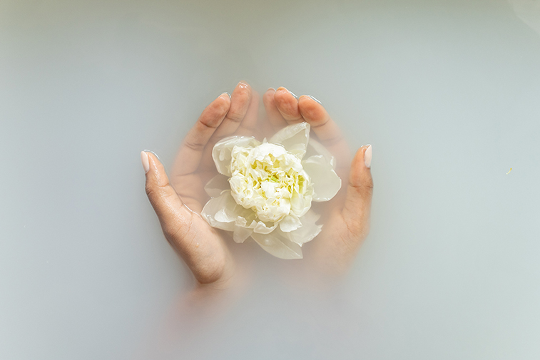 Explore an Oasis of Healing with the Top Medical Wellness Retreats in India-Cover Image