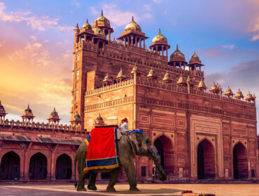 Witness the Best of India with its Diverse Landscapes, Heritage, and Cuisine