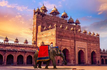 Witness the Best of India with its Diverse Landscapes, Heritage, and Cuisine