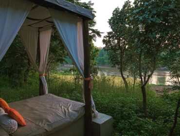 Reconnect with Nature’s Harmony at the Flame of the Forest Safari Lodge