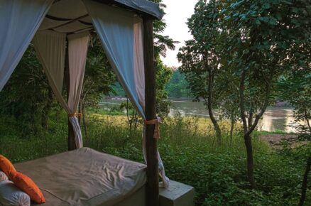 Reconnect with Nature’s Harmony at the Flame of the Forest Safari Lodge
