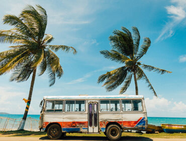 Feel the Vibe with Bob Marley & Jamaica