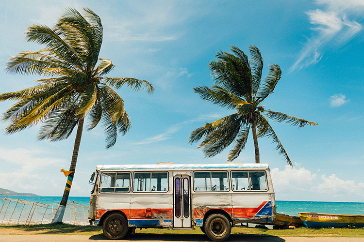 Feel the Vibe with Bob Marley & Jamaica-Cover Image
