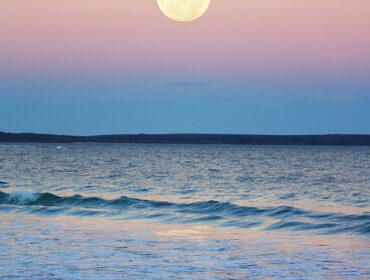 Harness the Power of Moon with this Meditation