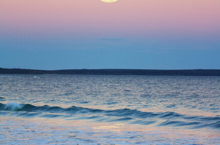 Harness the Power of Moon with this Meditation