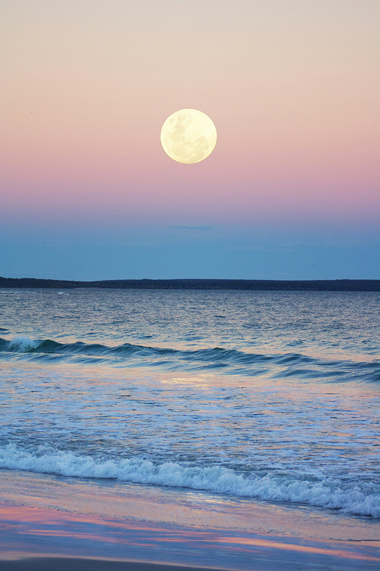 Harness the Power of Moon with this Meditation-Cover Image