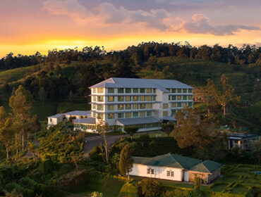 Leafy Affair: 6 Authentic Tea Stays