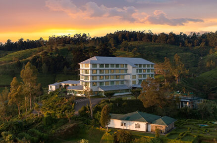 Leafy Affair: 6 Authentic Tea Stays