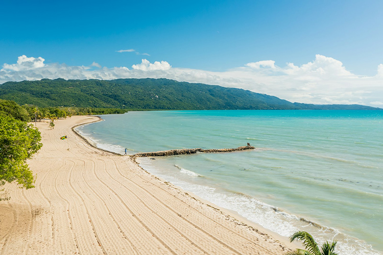 Preserving Jamaica's Blue Heart-Cover Image