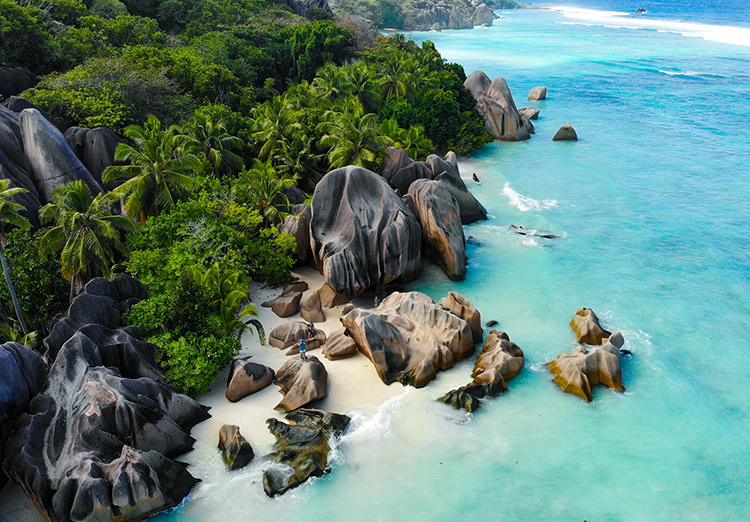 Safeguarding Seychelles Marine Conservation Efforts-Cover Image