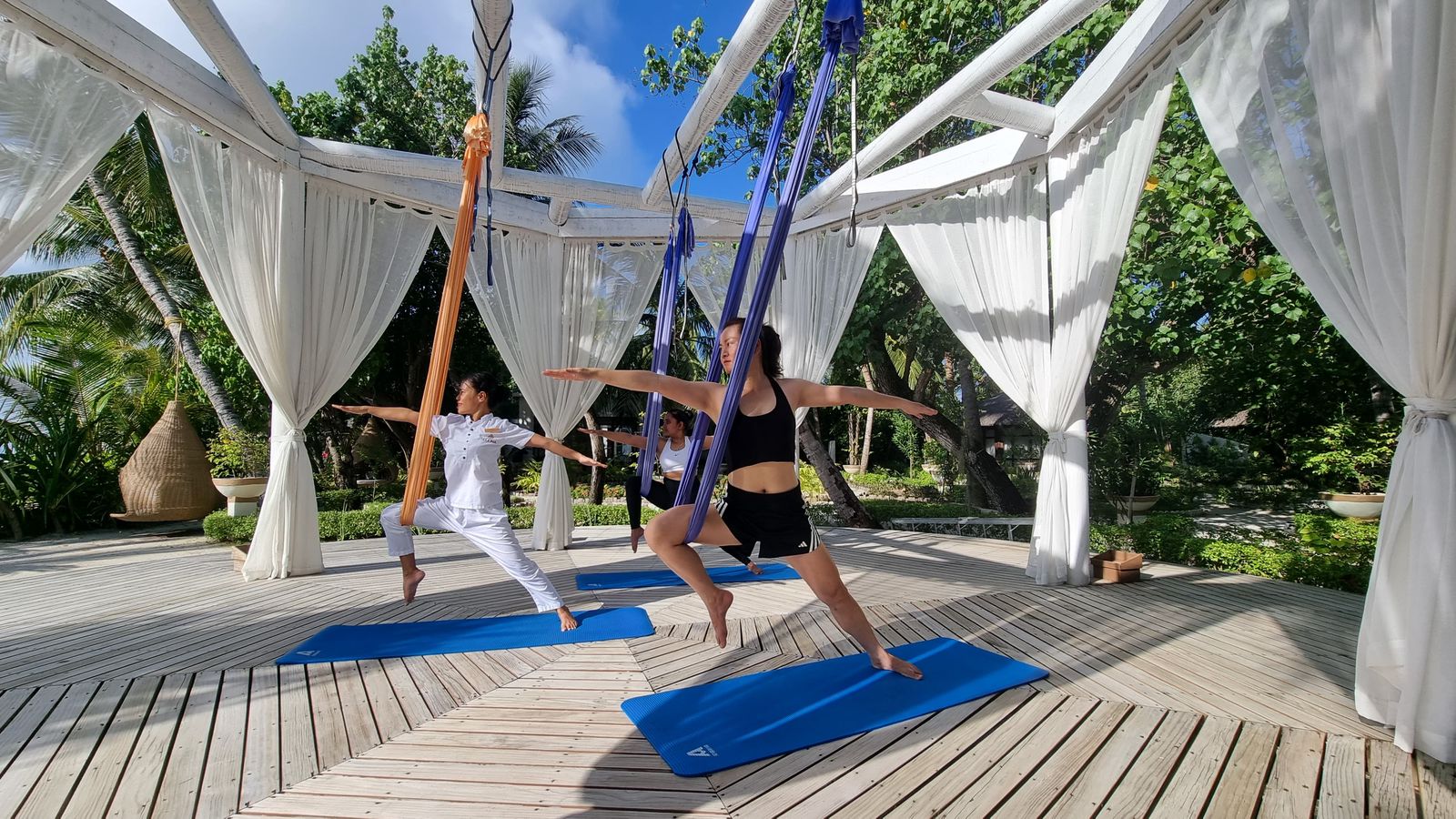 Yoga for Self & Society with ELENA-Cover Image