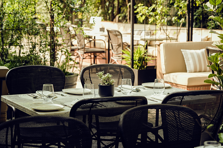 Elevated Comfort Dining at Delhi’s Newest Opening NOE Delhi-Cover Image