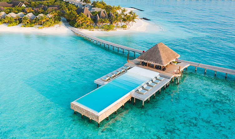The Barefoot Island Life-Cover Image